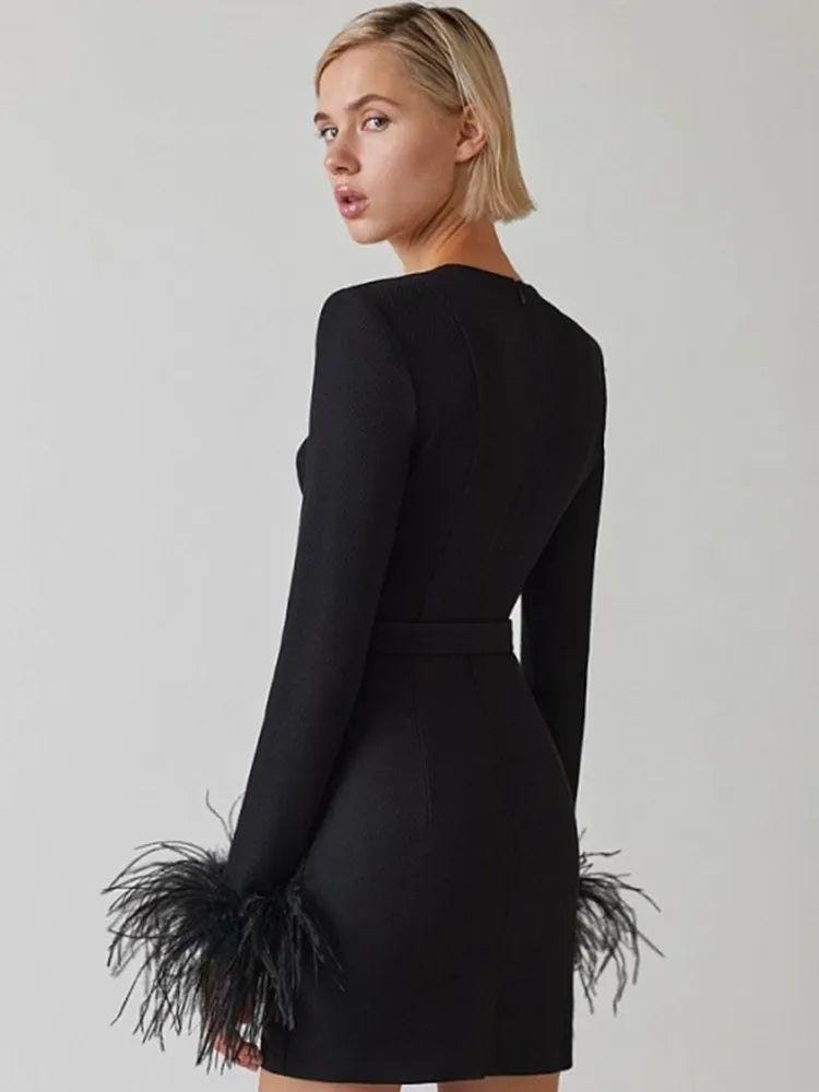 Elegant klänning med lång ärm och fjädrar